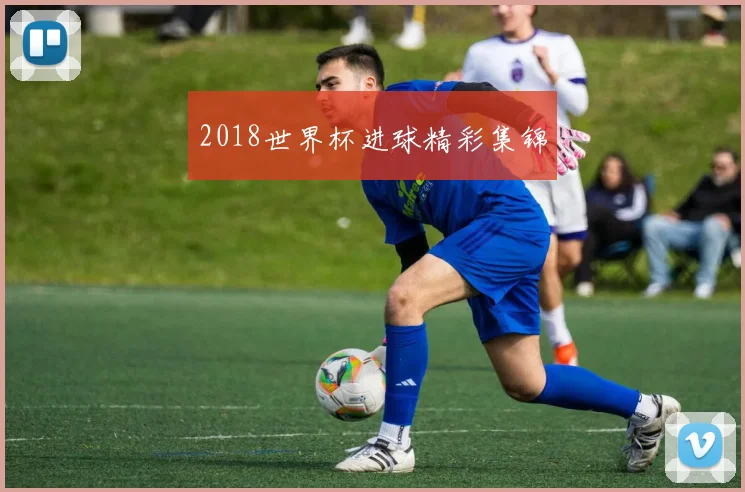 2018世界杯进球精彩集锦